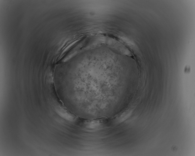 X0000094450384200711211524