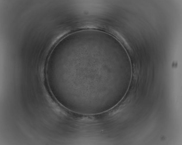 X0000094450386200711211523