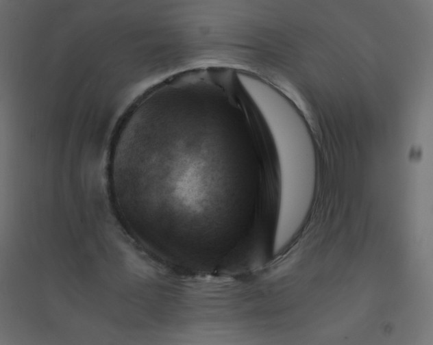 X0000094450387200711211523