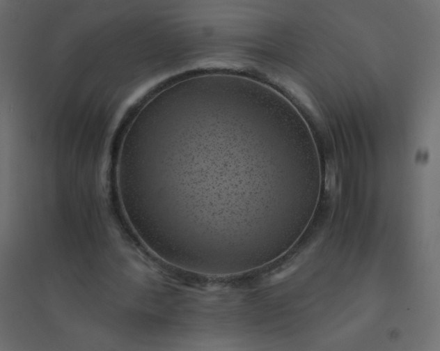 X0000094450388200711211523