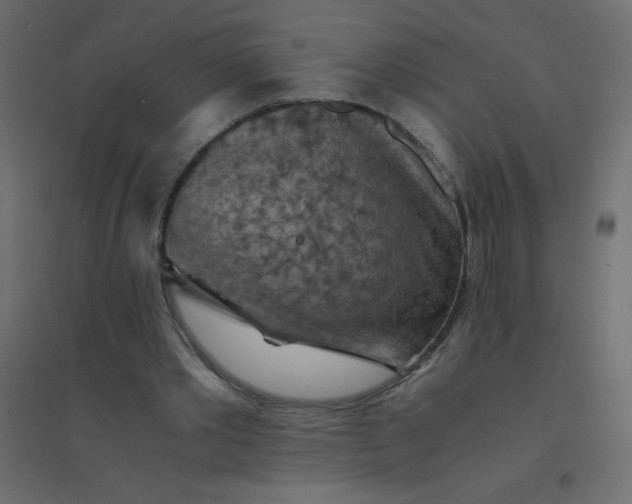 X0000094450389200711211523