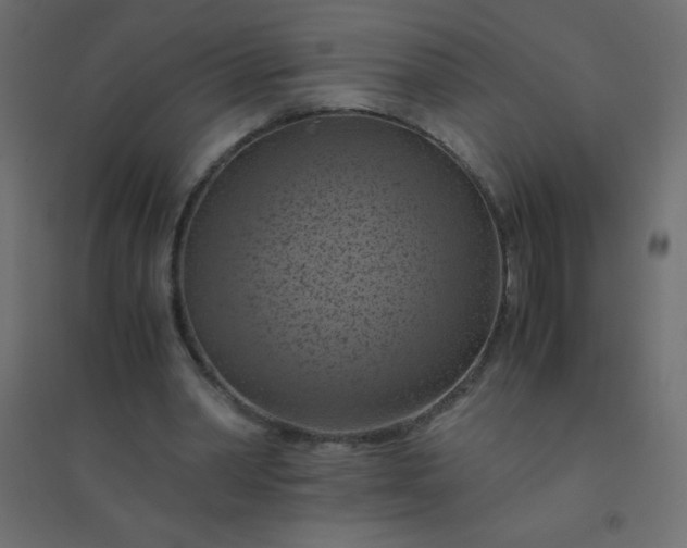 X0000094450390200711211523