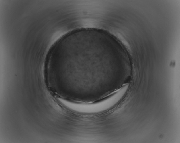 X0000094450391200711211523