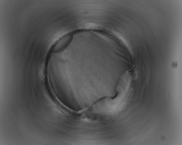 X0000094450392200711211523