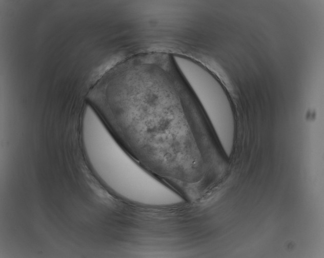 X0000094450393200711211523