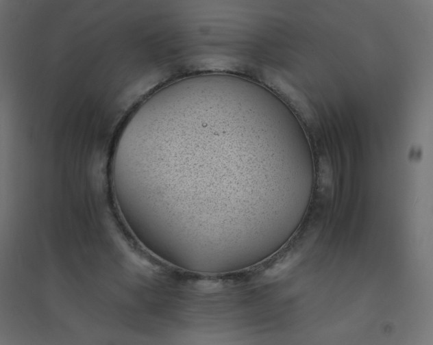 X0000094450394200711211523