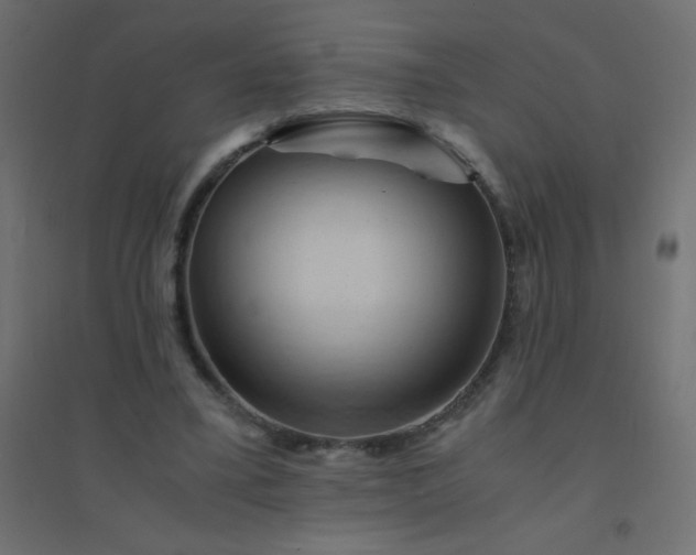 X0000094450395200711211523