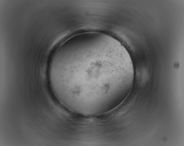 X0000094450396200711211523