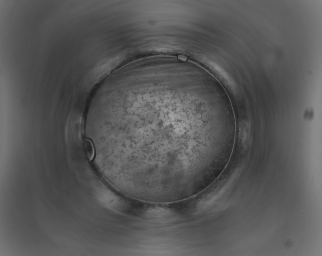 X0000094450397200711211523