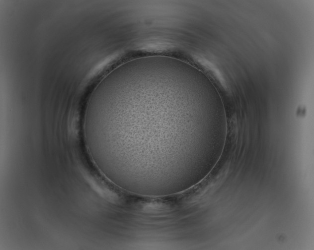 X0000094450400200711211523