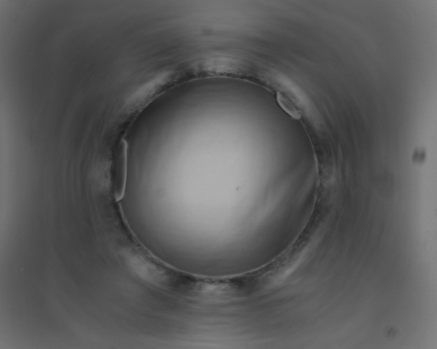 X0000094450401200711211523