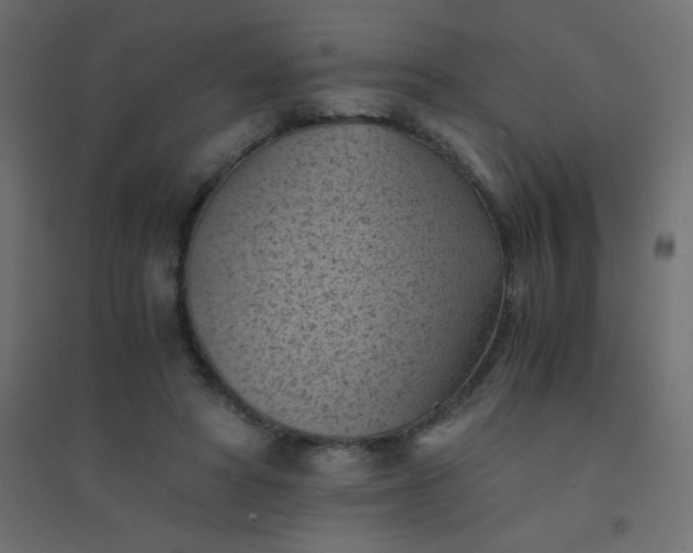 X0000094450402200711211523