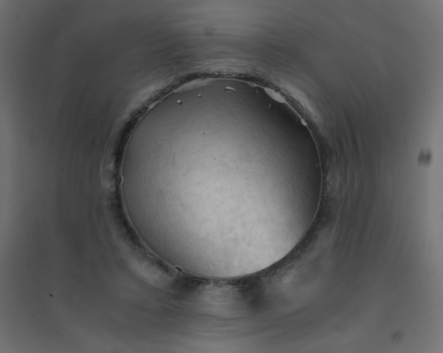 X0000094450403200711211523