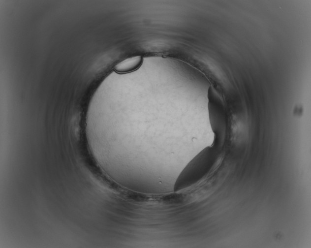 X0000094450404200711211523