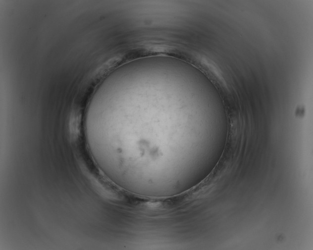 X0000094450406200711211523