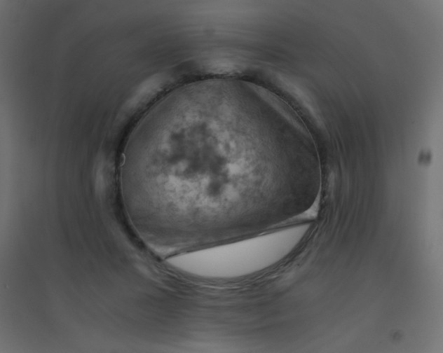 X0000094450407200711211523