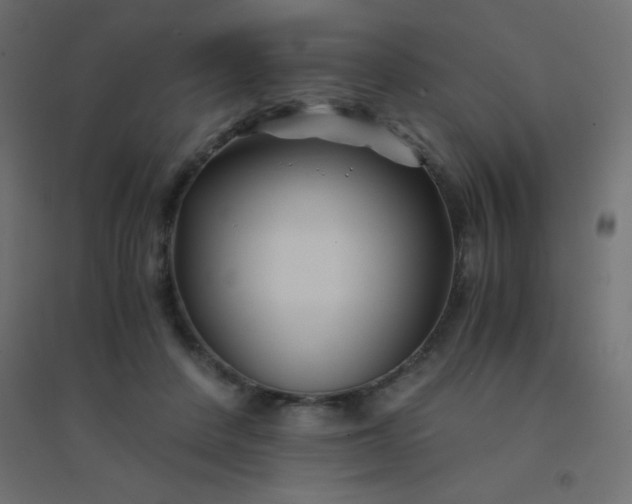 X0000094450408200711211523