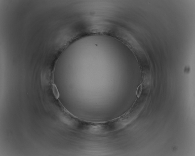 X0000094450411200711211523