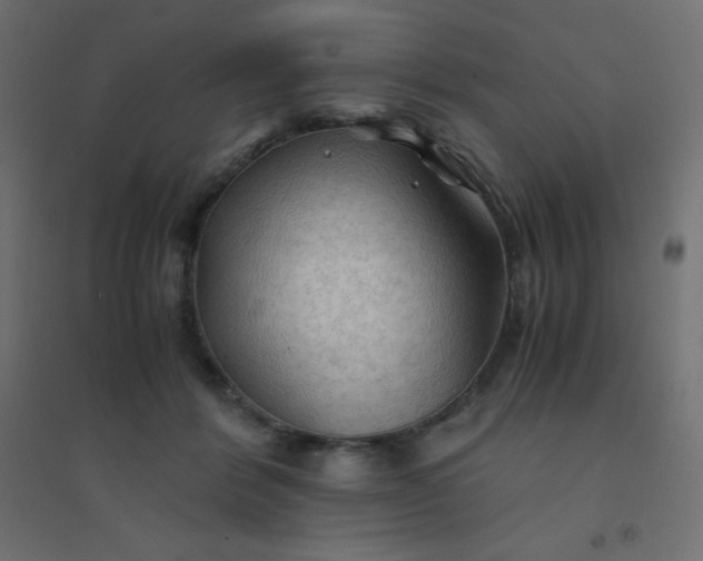 X0000094450412200711211523