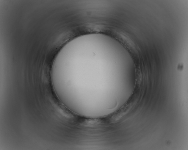 X0000094450414200711211523