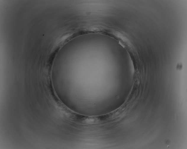 X0000094450415200711211523