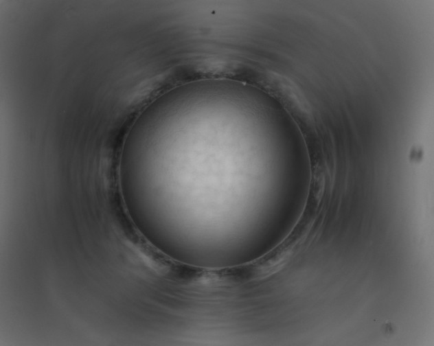 X0000094450416200711211523