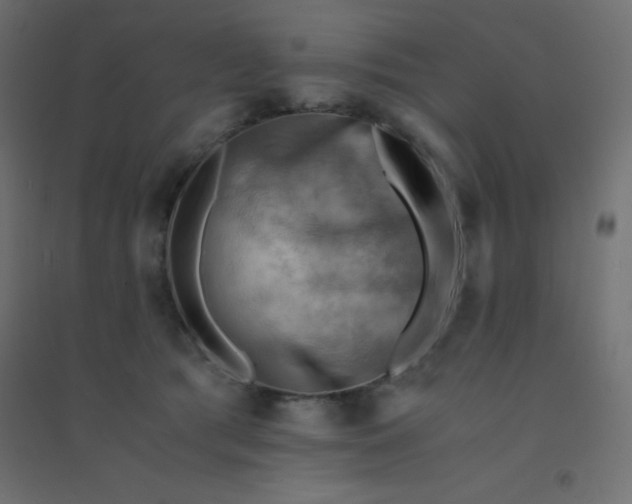 X0000094450417200711211523