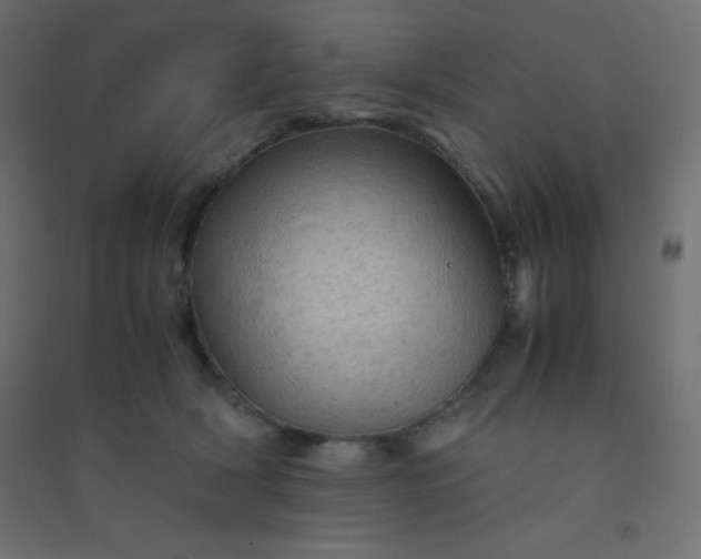 X0000094450418200711211523