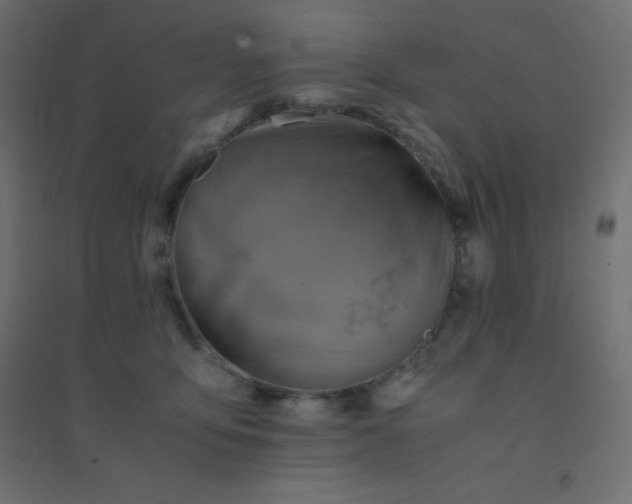 X0000094450419200711211523