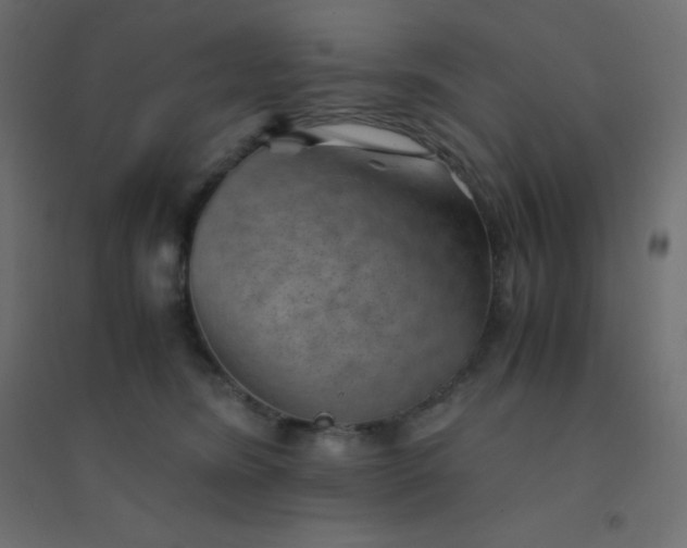 X0000094450420200711211523