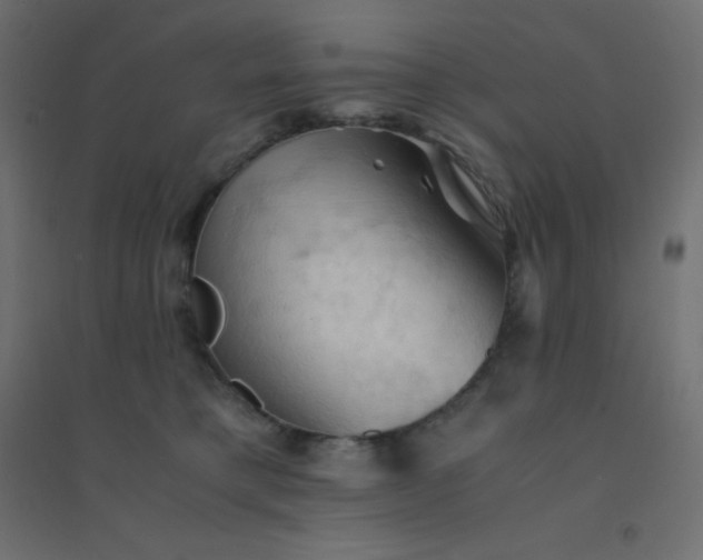 X0000094450421200711211523