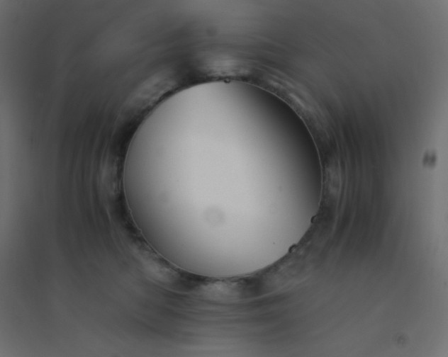 X0000094450422200711211523