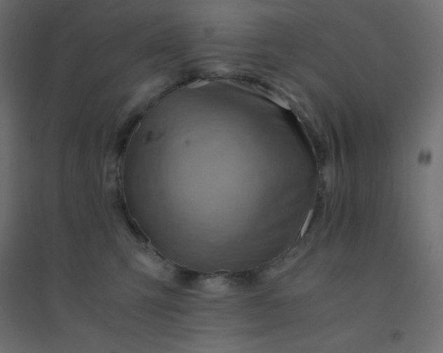 X0000094450423200711211523