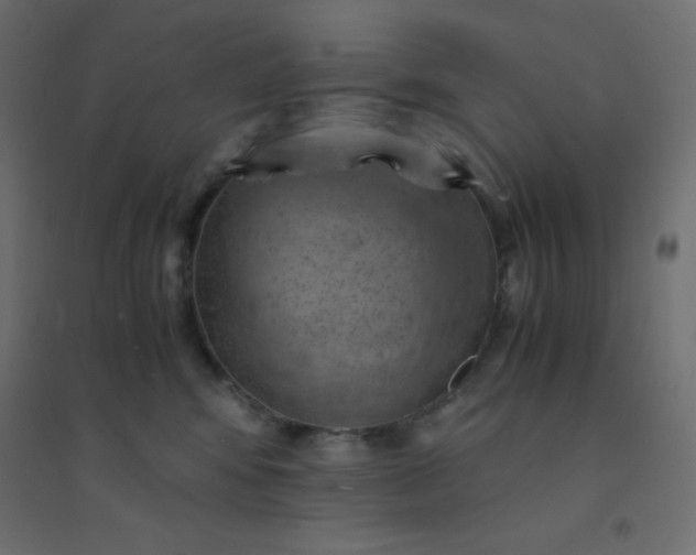 X0000094450424200711211523