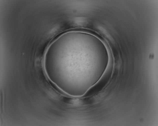 X0000094450425200711211523