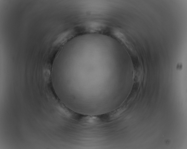 X0000094450427200711211523