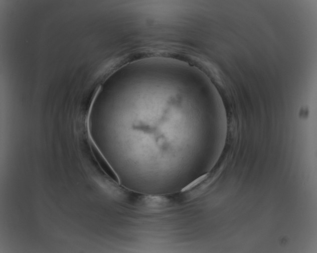 X0000094450429200711211522