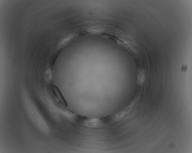 X0000094450431200711211522