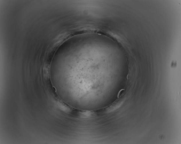 X0000094450432200711211522