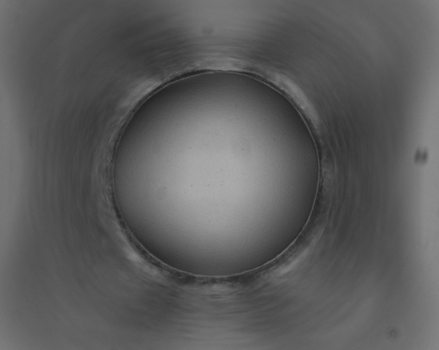 X0000094450433200711211522