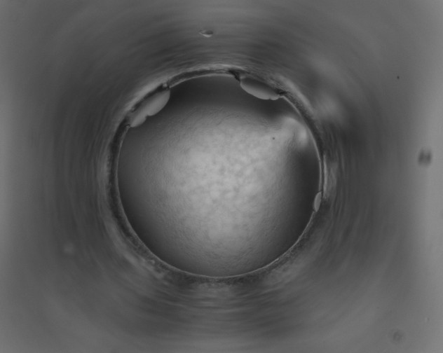 X0000094450435200711211522