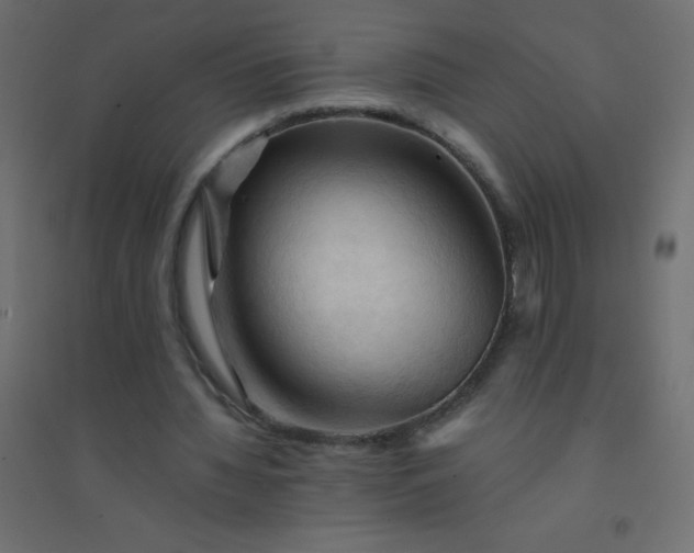 X0000094450436200711211522