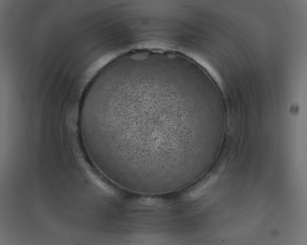 X0000094450437200711211522