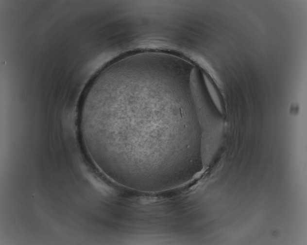 X0000094450439200711211522