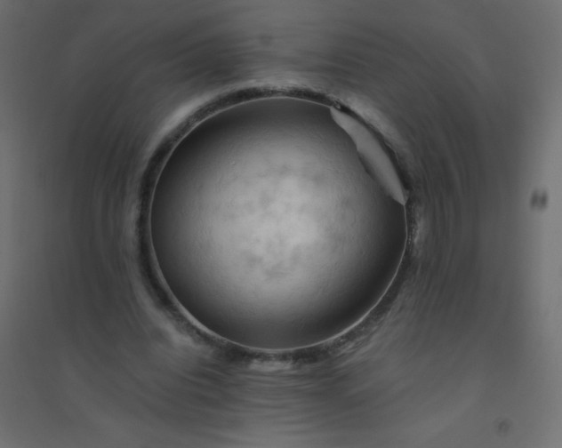 X0000094450440200711211522