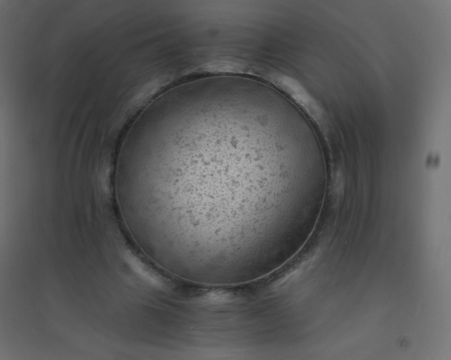 X0000094450441200711211522