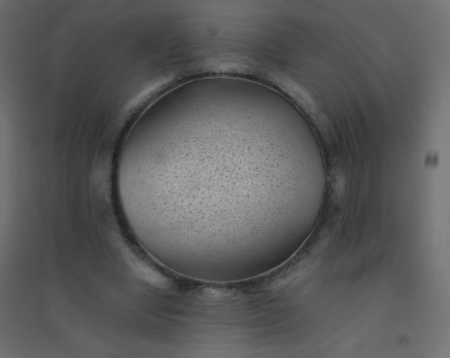 X0000094450442200711211522