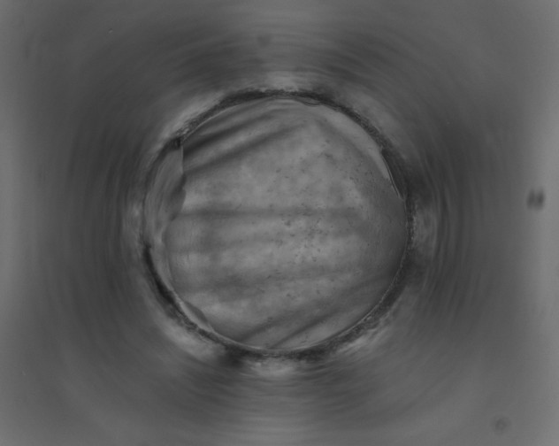 X0000094450444200711211522