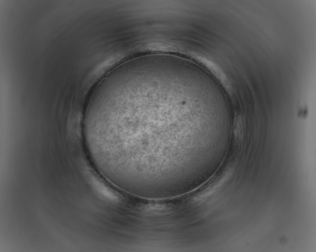 X0000094450445200711211522