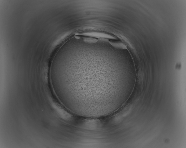 X0000094450446200711211522